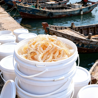 Jellyfish Strips
