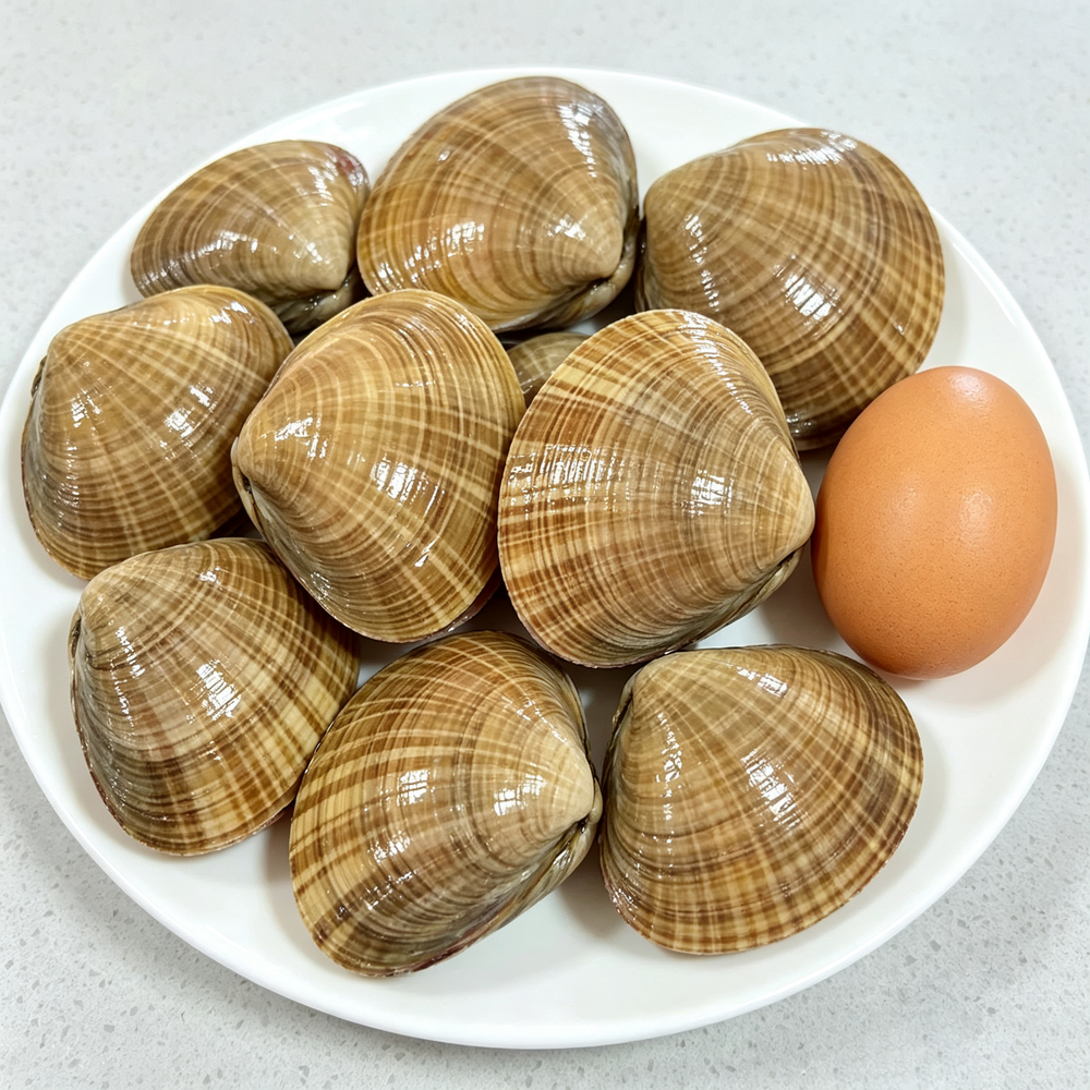 Large Wenbei Clams