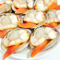 Large Wenbei Clams